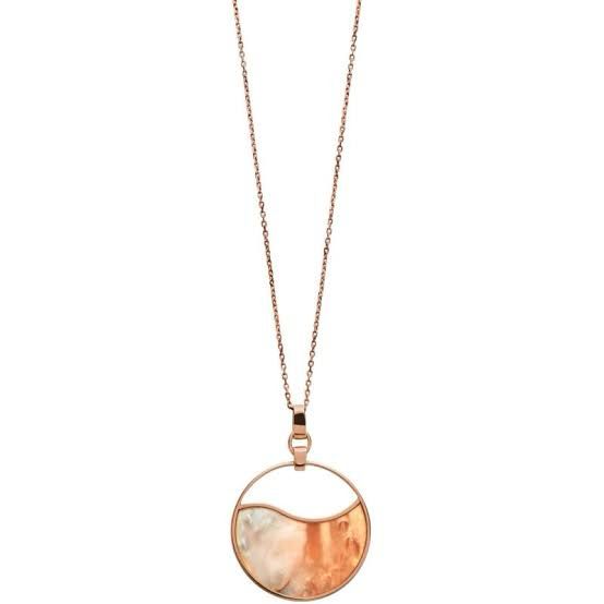 Skagen luxury Stainless Steel Necklace