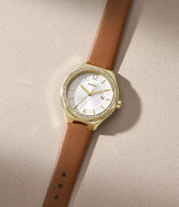 Eevie Three-Hand Date Brown Leather Watch BQ3957