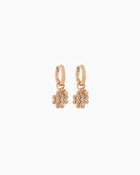 Rose Gold-Tone Sterling Silver Hoop Earrings EG3610221