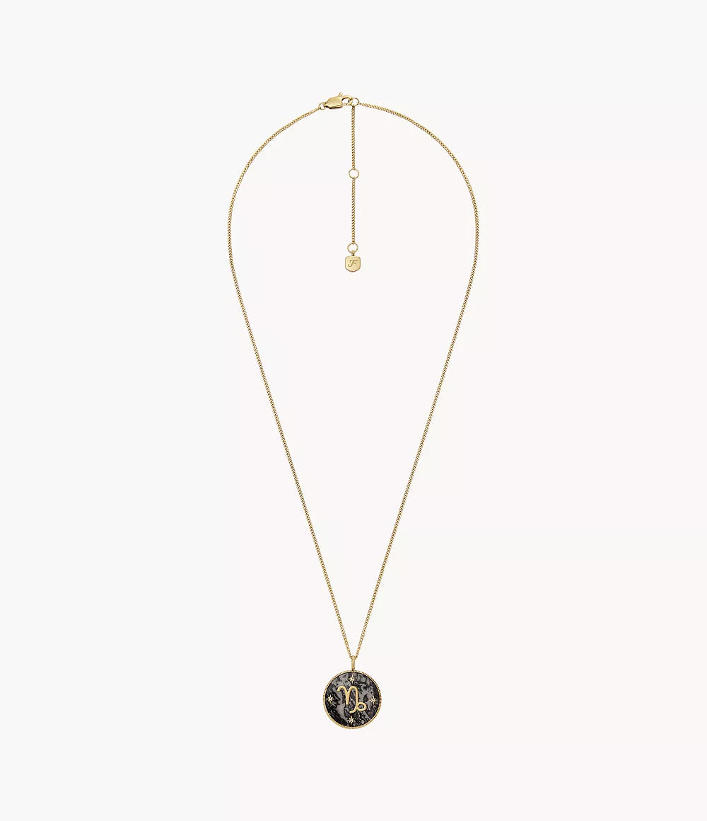 Capricorn Sutton Zodiac Gold-Tone Stainless Steel Gray Hematite Pendant Necklace JF04847710