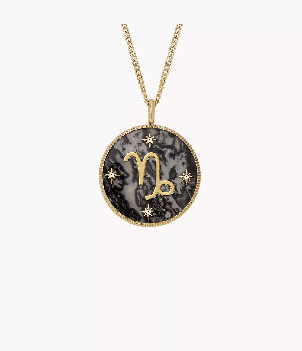 Capricorn Sutton Zodiac Gold-Tone Stainless Steel Gray Hematite Pendant Necklace JF04847710