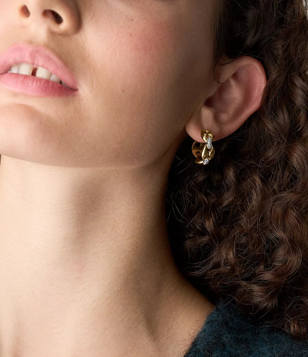 Heritage D-Link Glitz Two-Tone Stainless Steel Hoop Earrings JF04930998