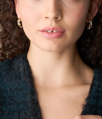 Heritage D-Link Glitz Two-Tone Stainless Steel Hoop Earrings JF04930998