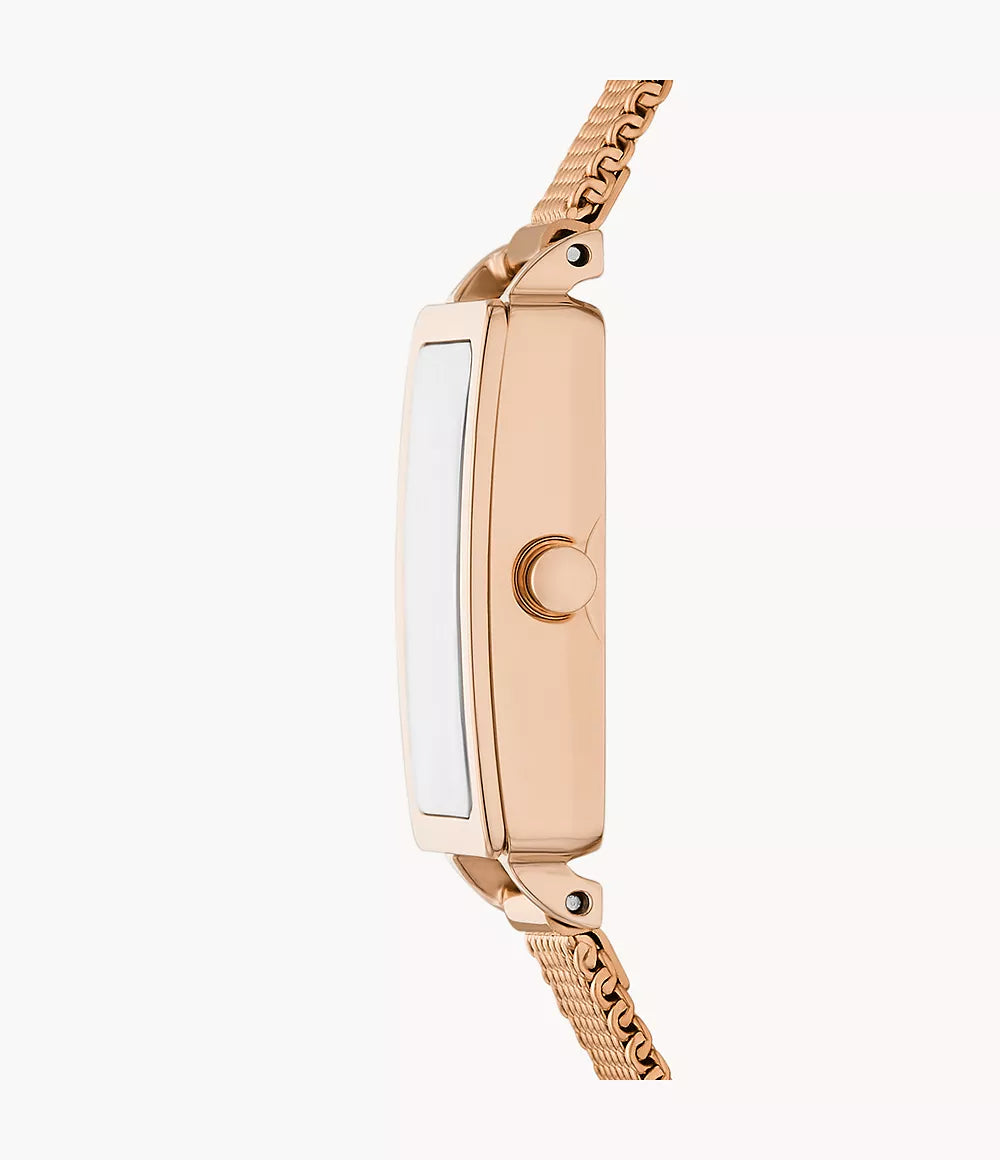 Hagen Micro Two-Hand Rose Gold Stainless Steel Watch SKW3148