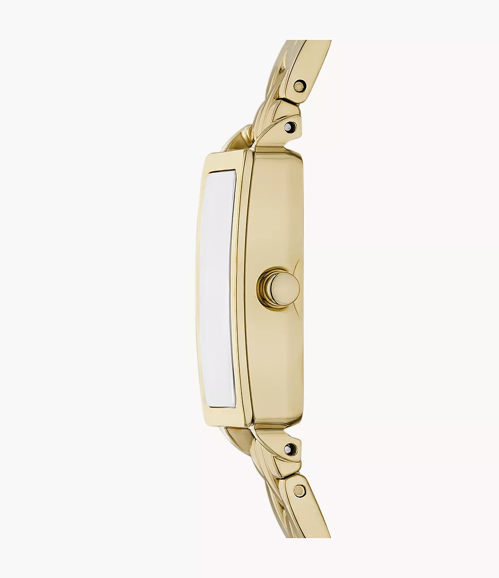 Hagen Micro Two-Hand Gold Stainless Steel Watch SKW3151