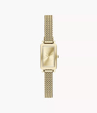 Hagen Micro Two-Hand Gold Stainless Steel Watch SKW3178